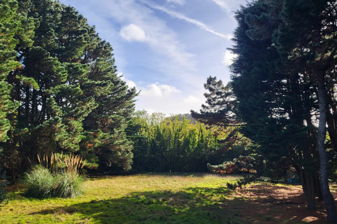 Maison à vendre à Belle-Île en Mer (Réf 755) 